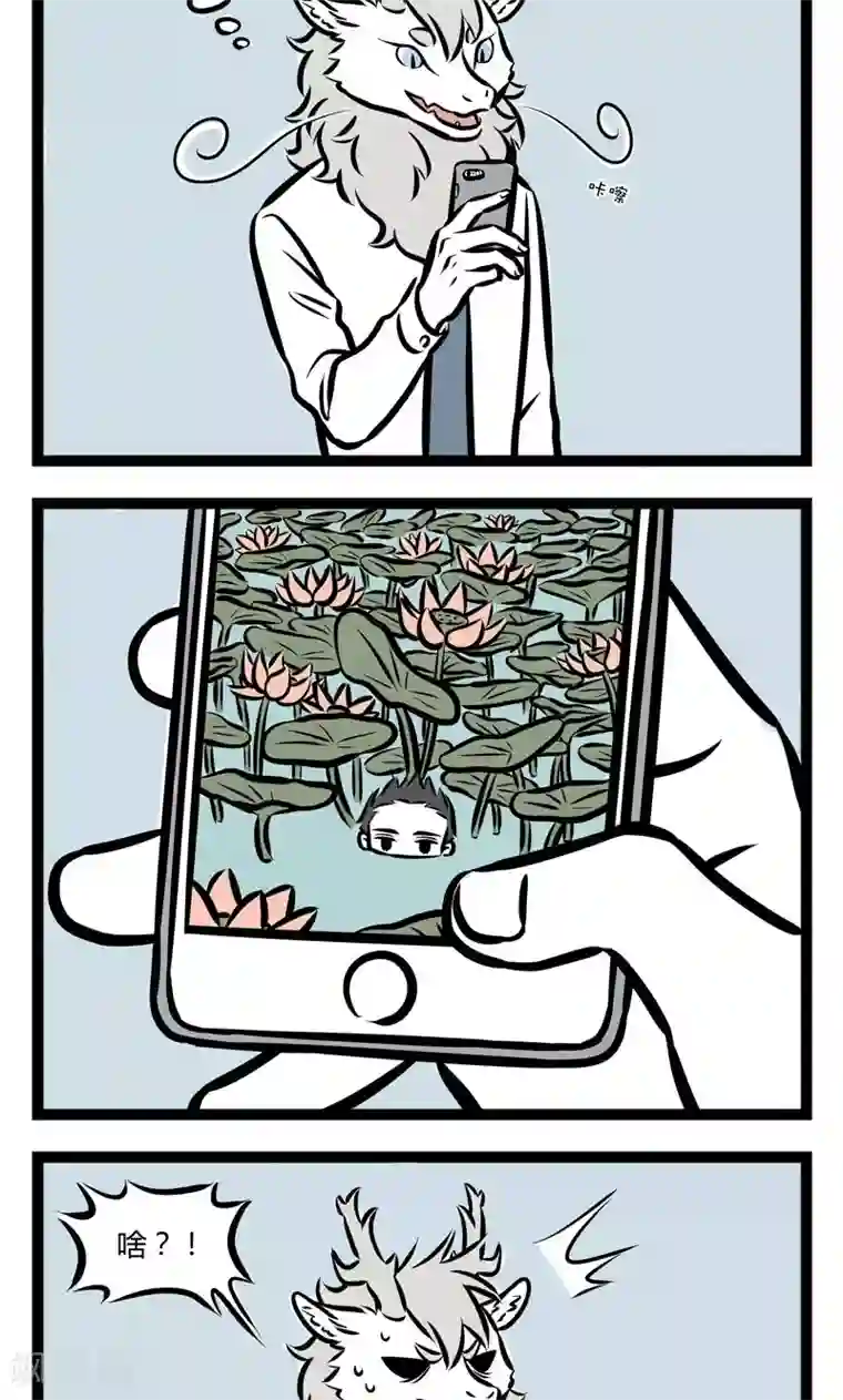 非人哉第233话 荷塘