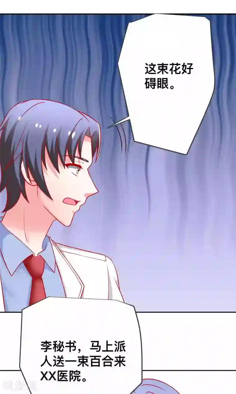 总裁保镖很御姐第26话 薛路的计划