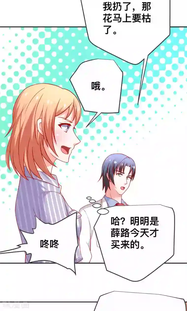 总裁保镖很御姐第26话 薛路的计划