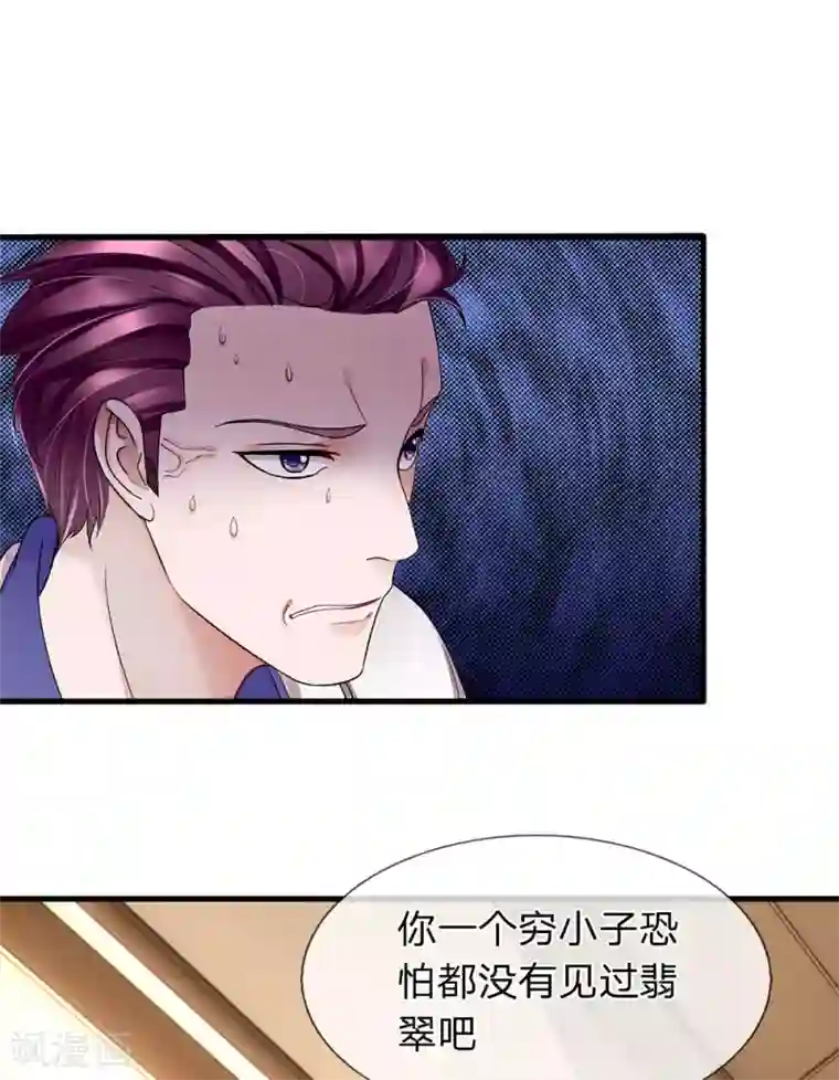 终极兵王混都市第20话 翡翠是假的