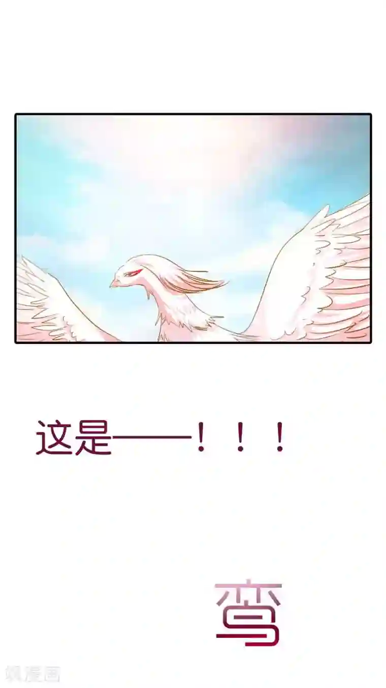 这个神兽有点萌系列之通天嗜宠第69话 天帝好色啊