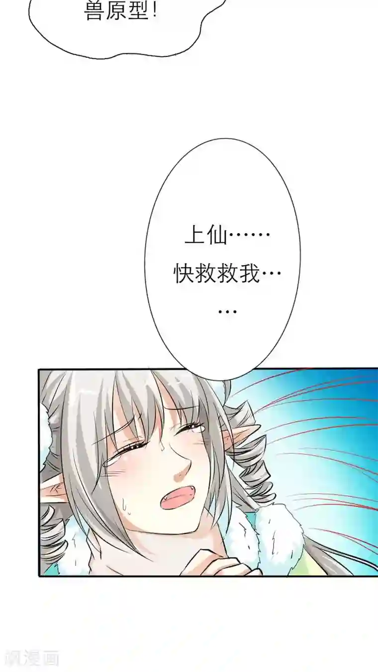 这个神兽有点萌系列之通天嗜宠最终话 前篇