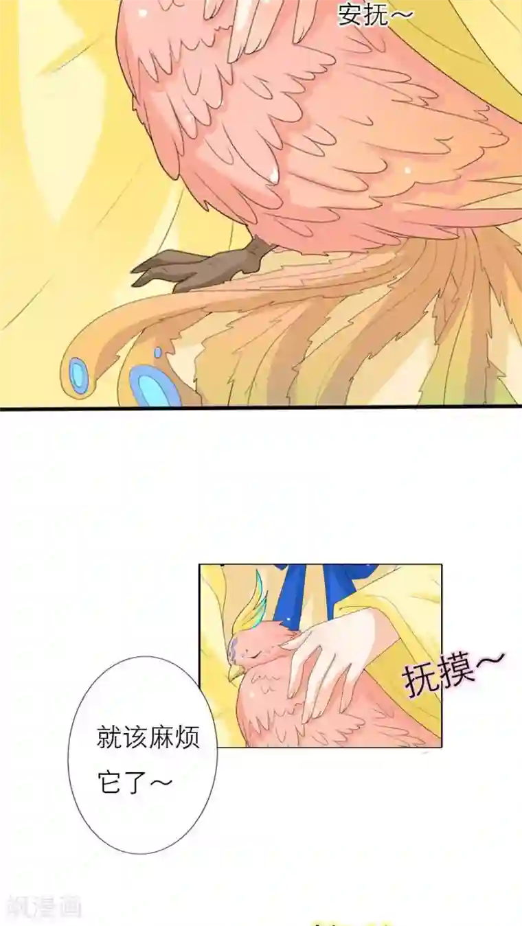 这个神兽有点萌系列之通天嗜宠最终话 前篇