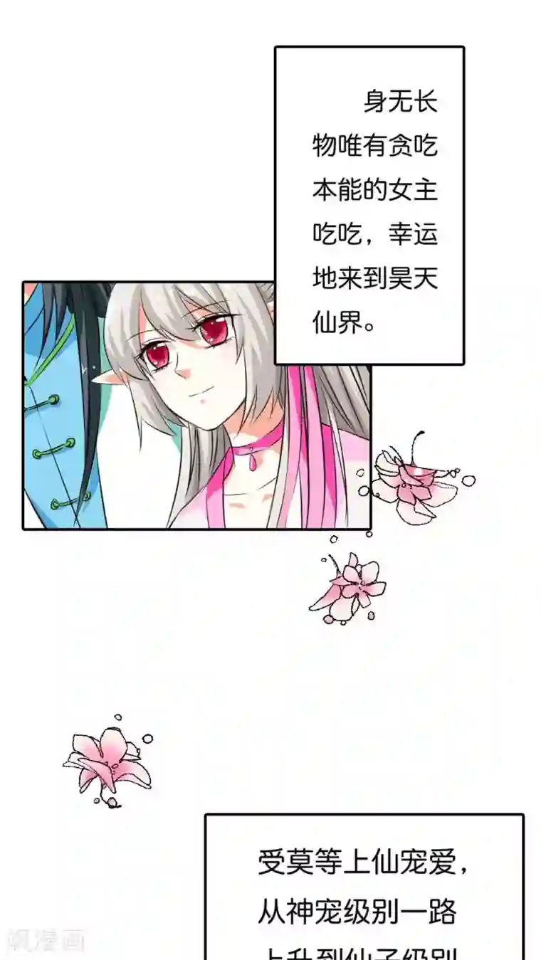 这个神兽有点萌系列之通天嗜宠第3季1话 分别