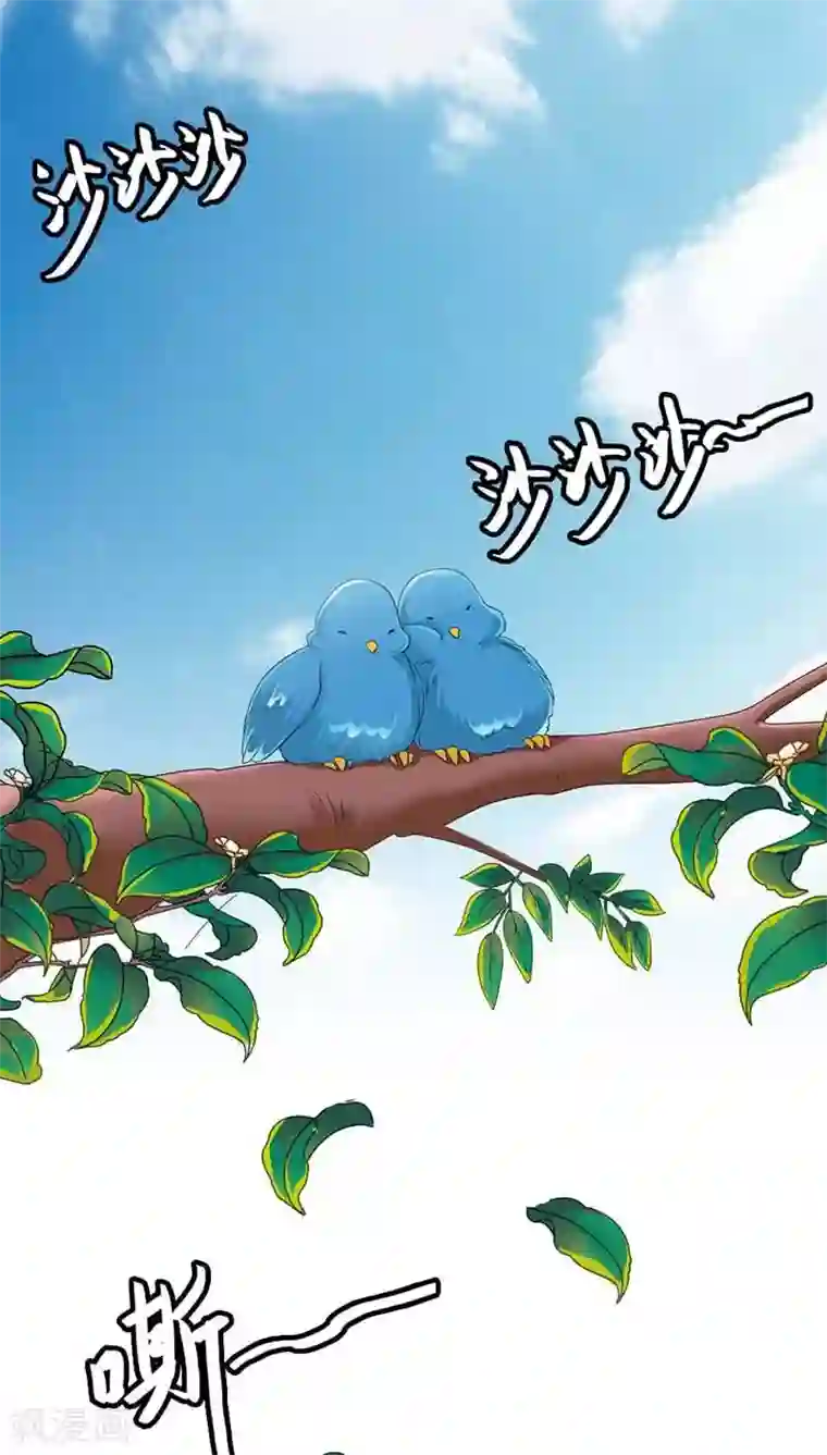 这个神兽有点萌系列之通天嗜宠第3季11话 躲猫猫