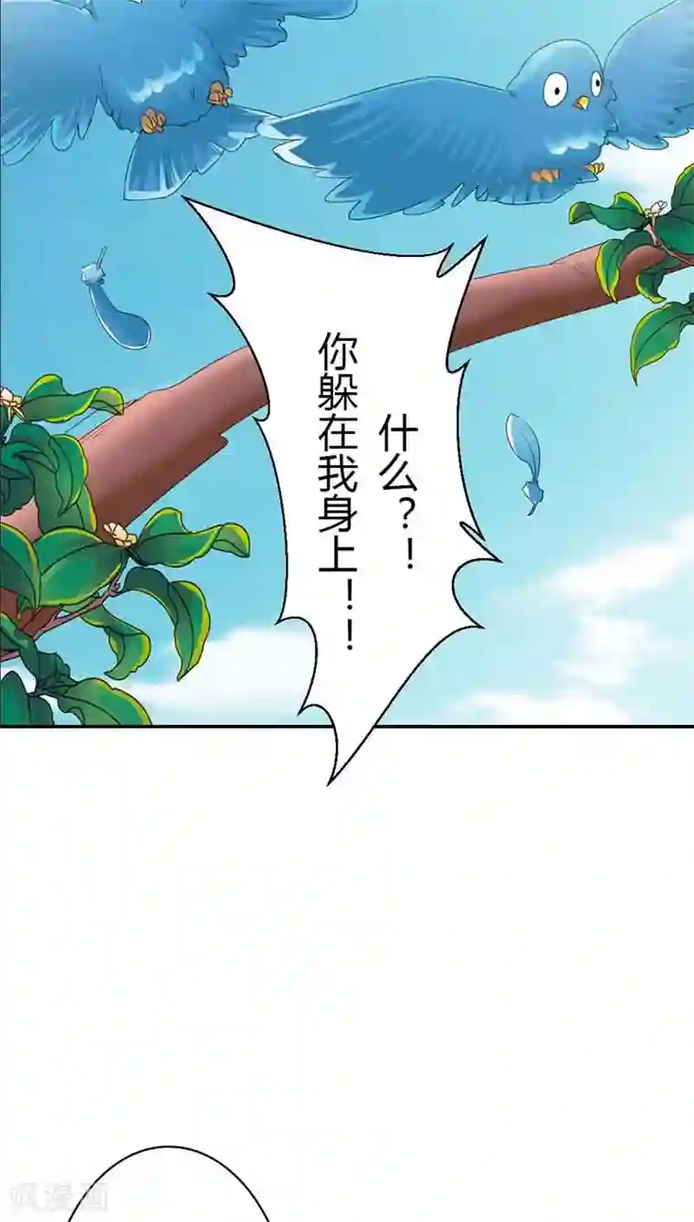 这个神兽有点萌系列之通天嗜宠第3季11话 躲猫猫