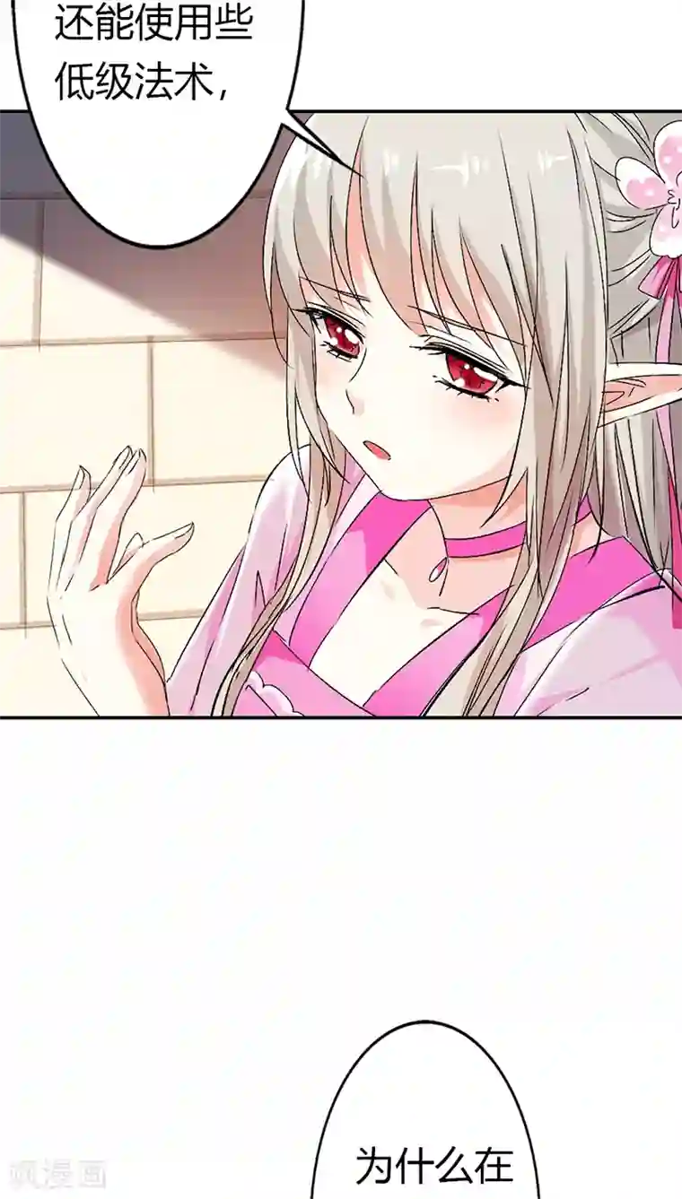 这个神兽有点萌系列之通天嗜宠第3季14话 走，买车去