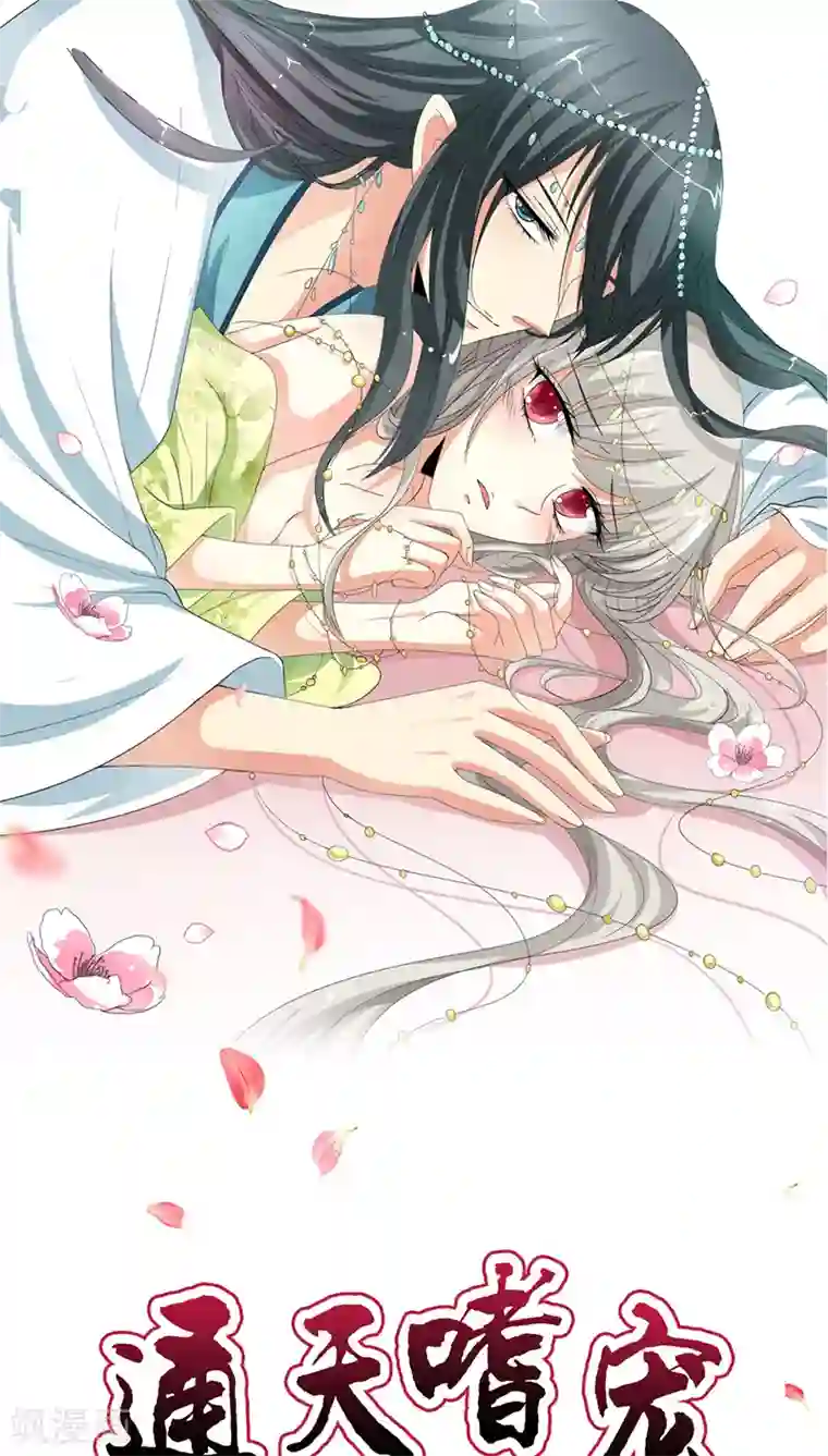 这个神兽有点萌系列之通天嗜宠第3季17话 你个白痴！