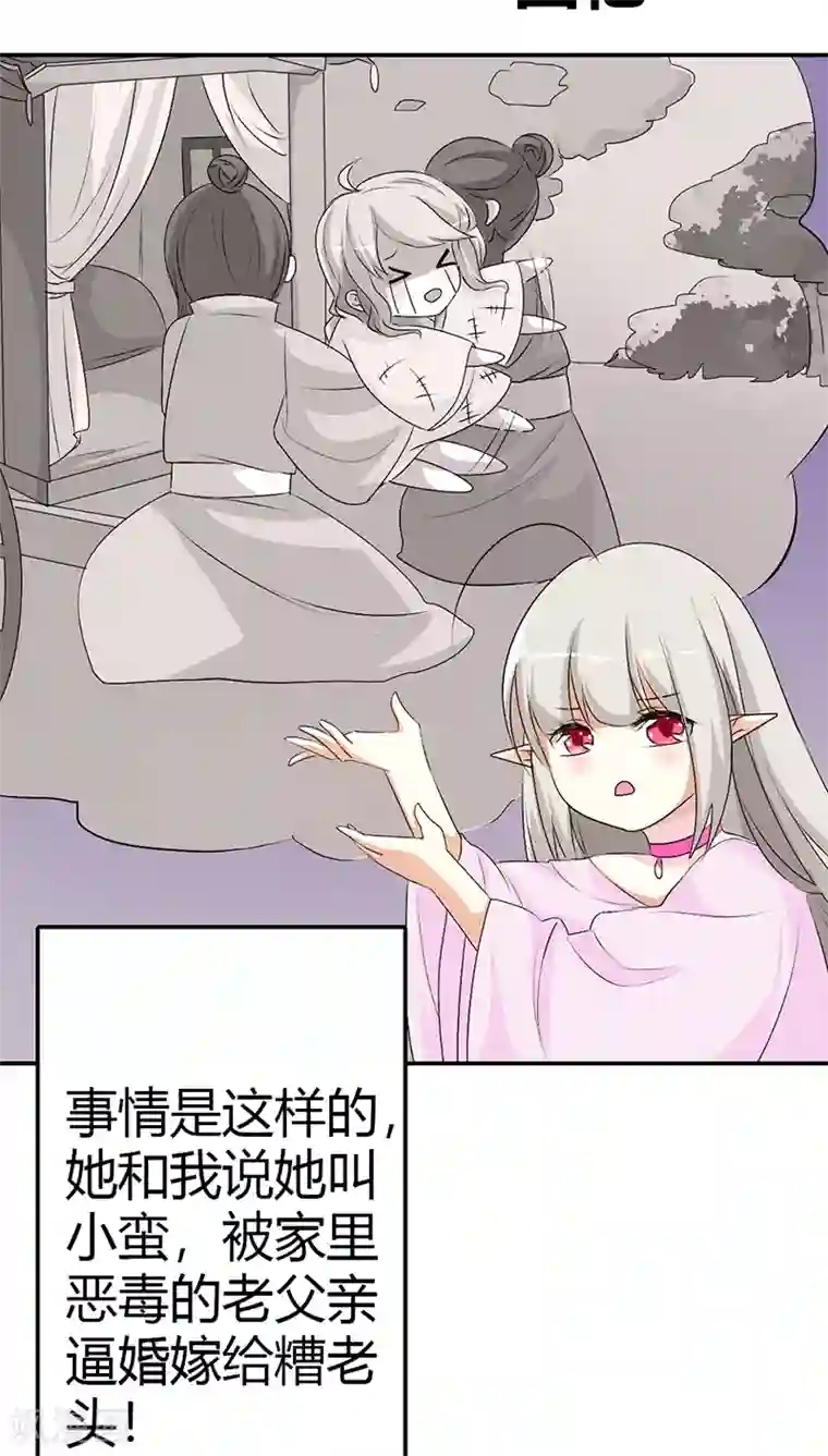 这个神兽有点萌系列之通天嗜宠第3季35话 不愧是我家宠物