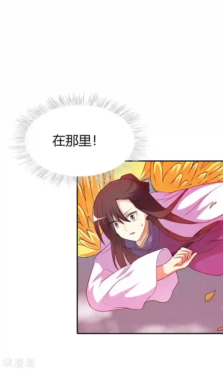 这个神兽有点萌系列之通天嗜宠第3季45话 金色比翼鸟