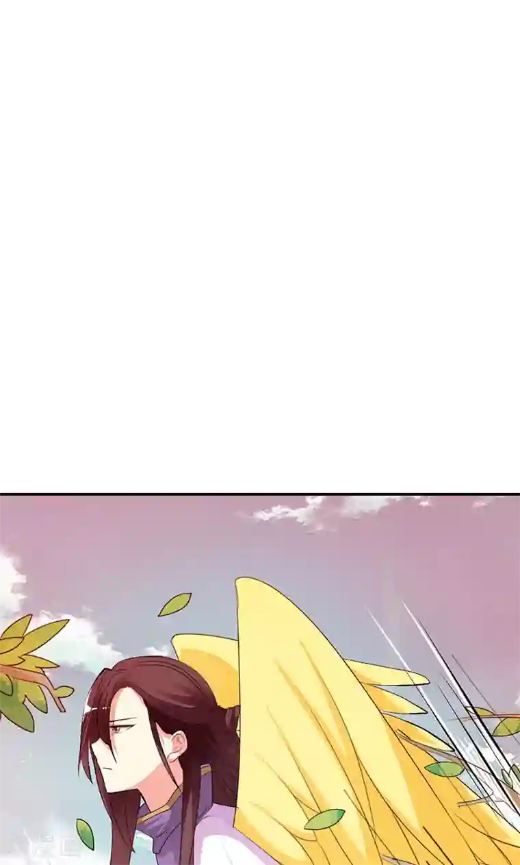 这个神兽有点萌系列之通天嗜宠第3季45话 金色比翼鸟