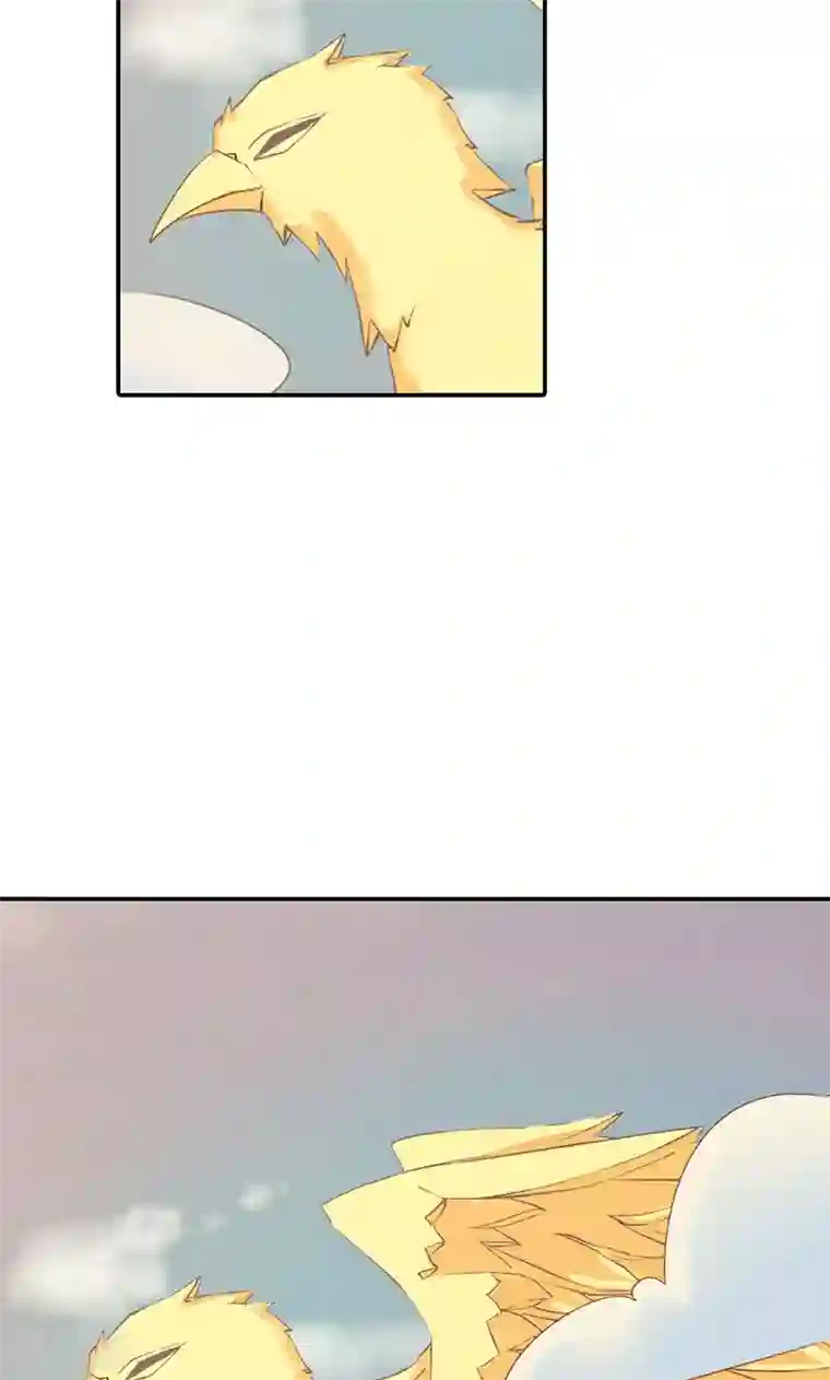 这个神兽有点萌系列之通天嗜宠第3季45话 金色比翼鸟