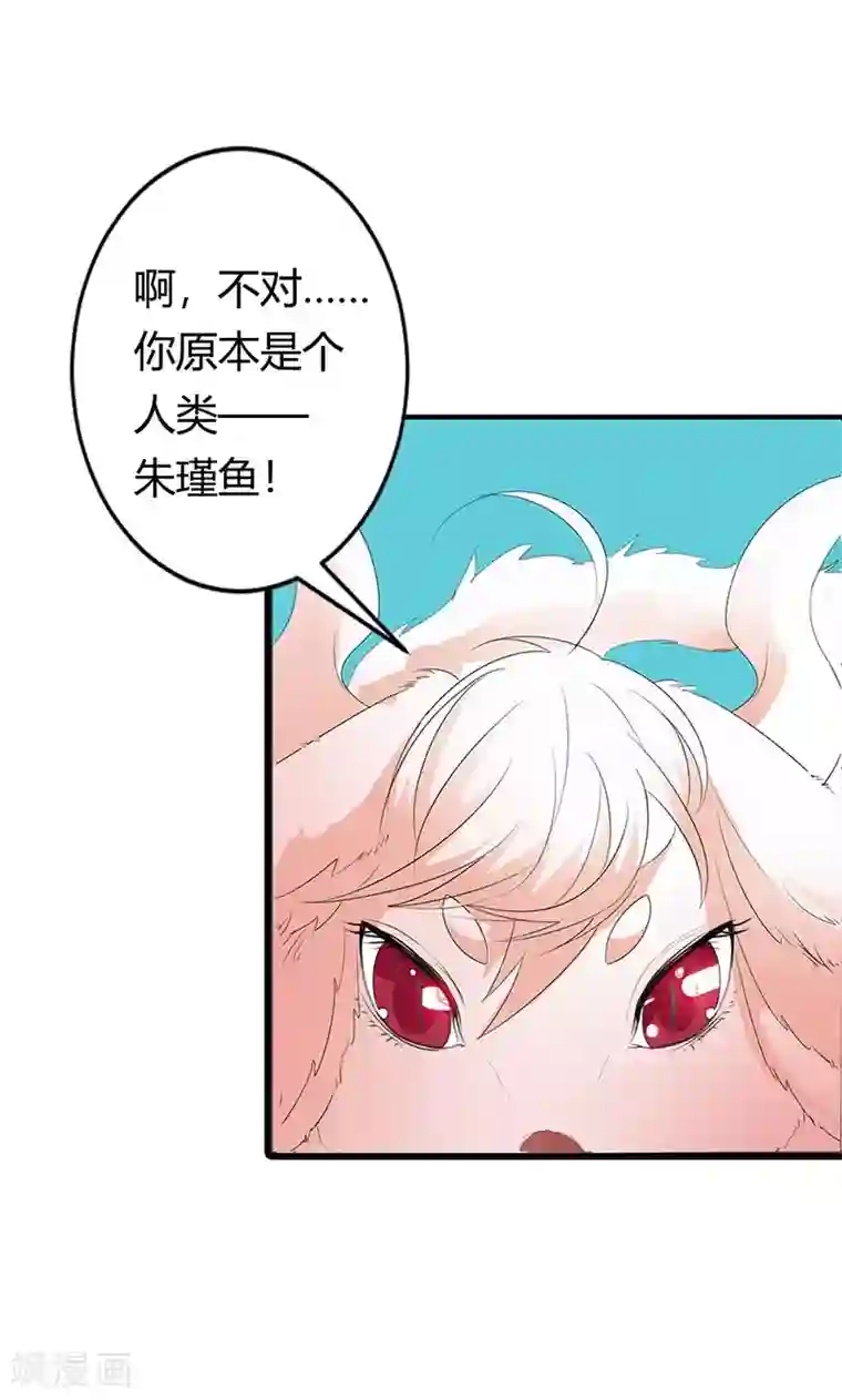 这个神兽有点萌系列之通天嗜宠第3季51话 你是谁