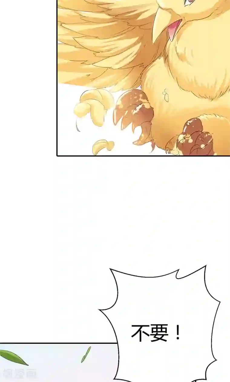 这个神兽有点萌系列之通天嗜宠第3季52话 小蛮快回来吧！