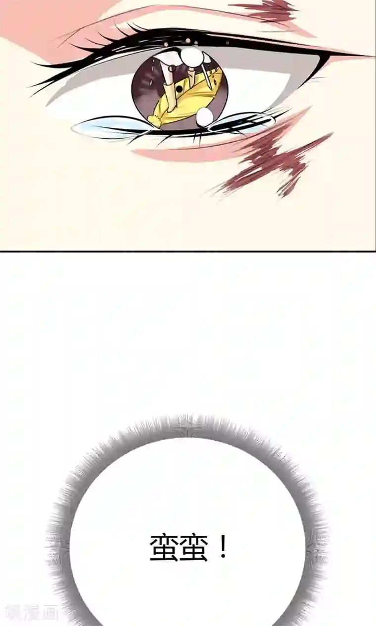 这个神兽有点萌系列之通天嗜宠第3季52话 小蛮快回来吧！