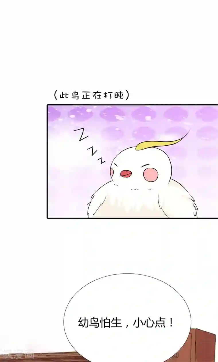 这个神兽有点萌系列之通天嗜宠第3季56话 情缘树