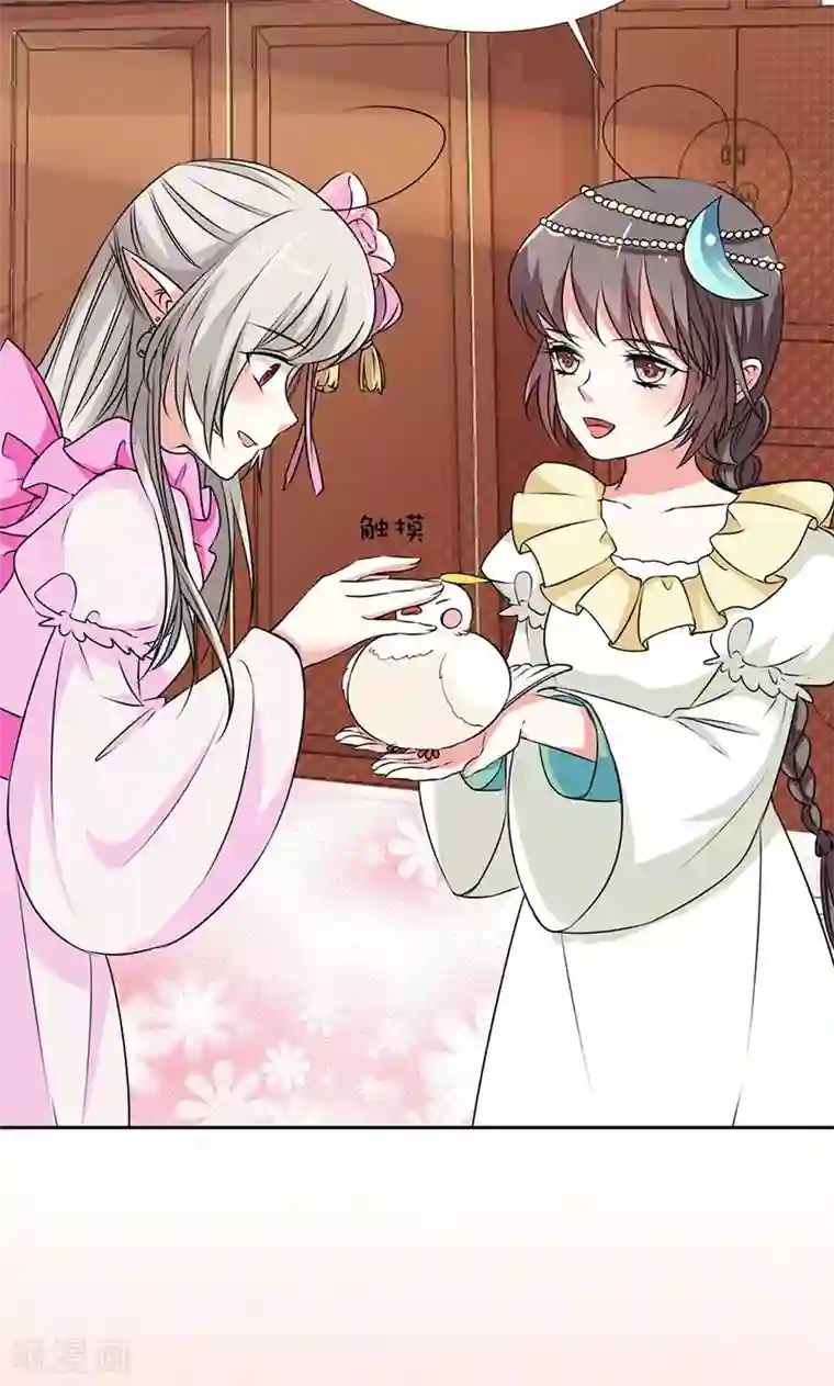 这个神兽有点萌系列之通天嗜宠第3季56话 情缘树