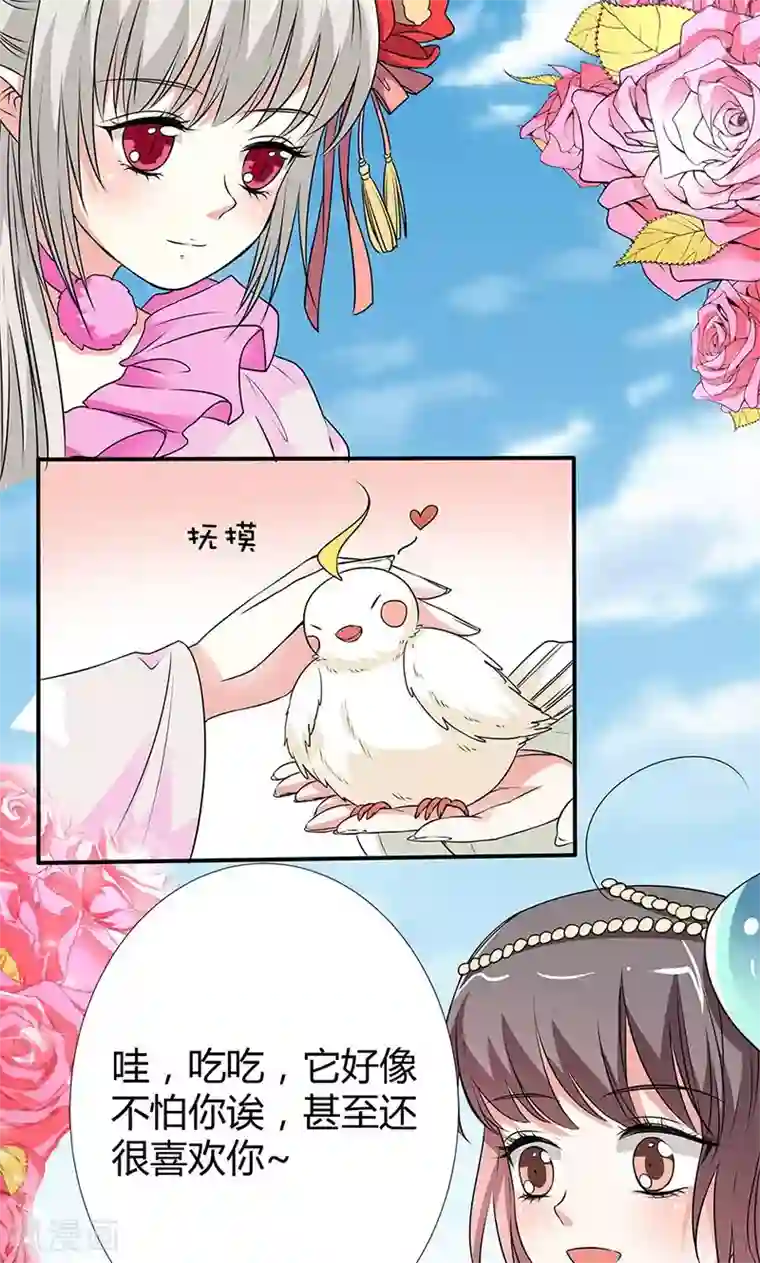 这个神兽有点萌系列之通天嗜宠第3季56话 情缘树