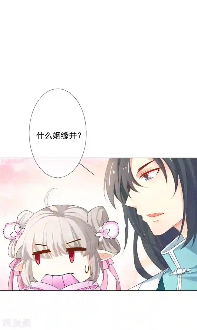 这个神兽有点萌系列之通天嗜宠第3季61话 姻缘井小情郎是谁？