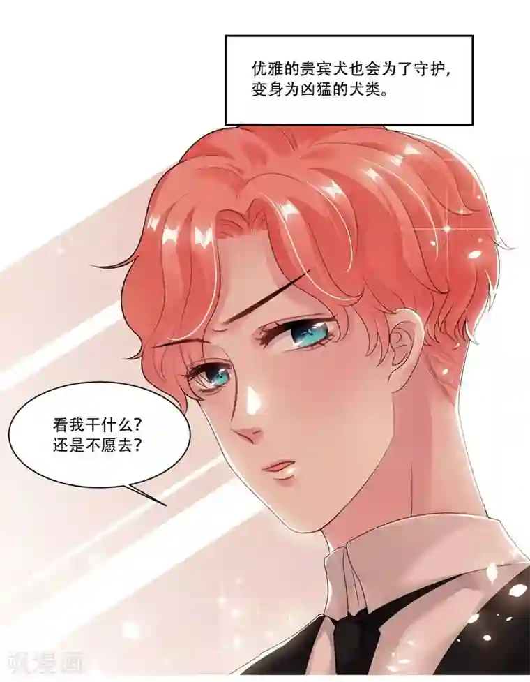 影帝和他的公主大人第31话 贵宾犬