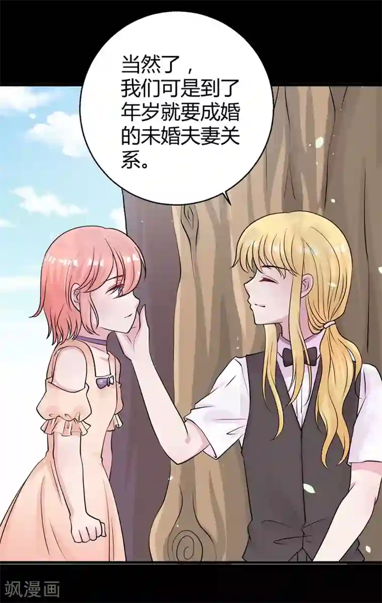 影帝和他的公主大人第63话 妻子，棋子