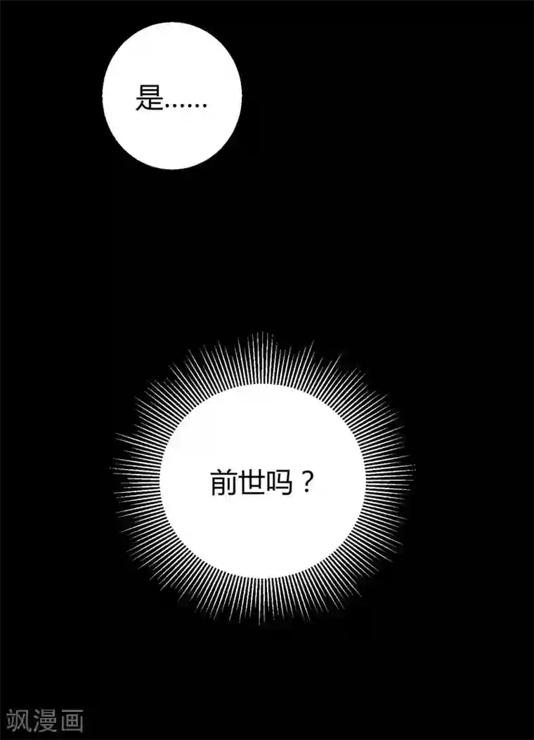 影帝和他的公主大人第63话 妻子，棋子