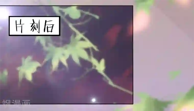 我的王妃有尾巴第13话 王爷动心了？