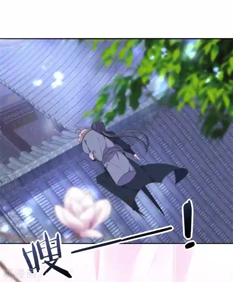 我的王妃有尾巴第17话 王妃被劫持，凶手竟是他？！