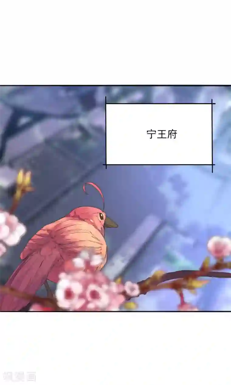 我的王妃有尾巴第21话 王妃失业惨被骗