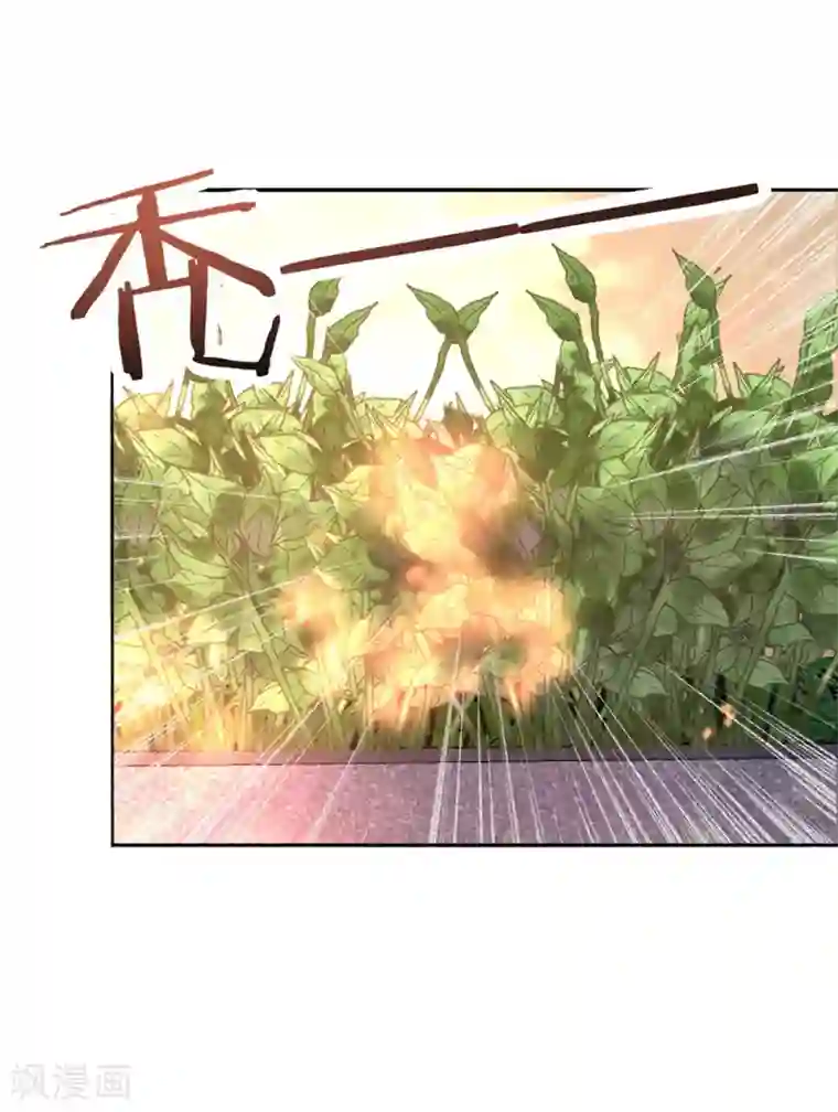 我的王妃有尾巴第26话 痴情总被无情恼