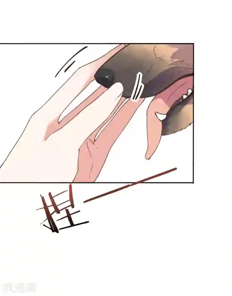 我的王妃有尾巴第28话 黑暗料理太销魂