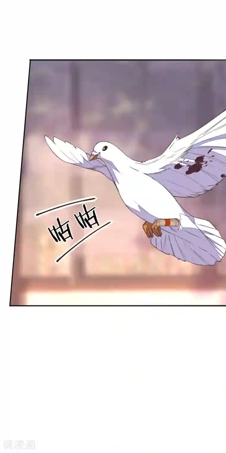 我的王妃有尾巴第36话 染血白鸽引猜忌