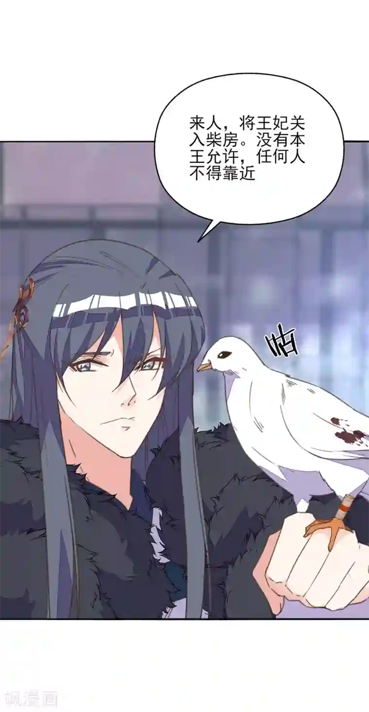 我的王妃有尾巴第36话 染血白鸽引猜忌