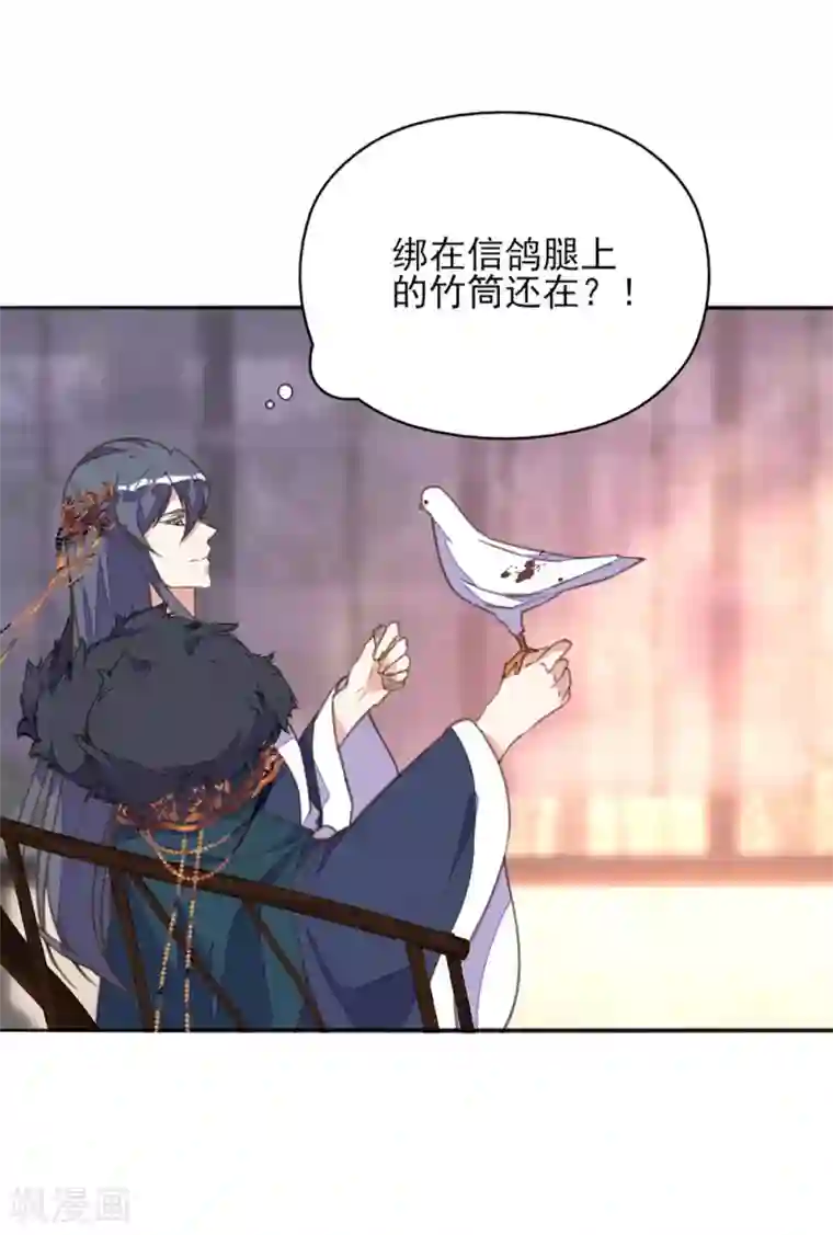 我的王妃有尾巴第36话 染血白鸽引猜忌