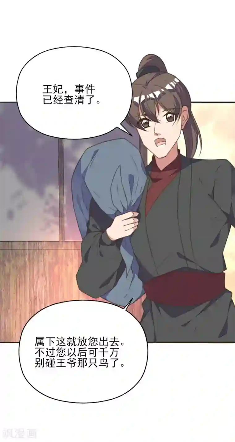 我的王妃有尾巴第36话 染血白鸽引猜忌