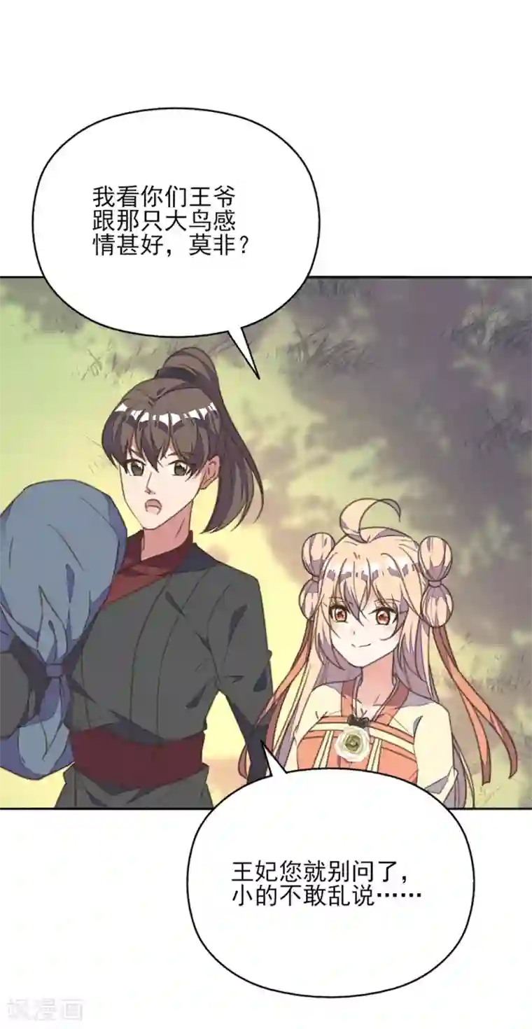 我的王妃有尾巴第36话 染血白鸽引猜忌