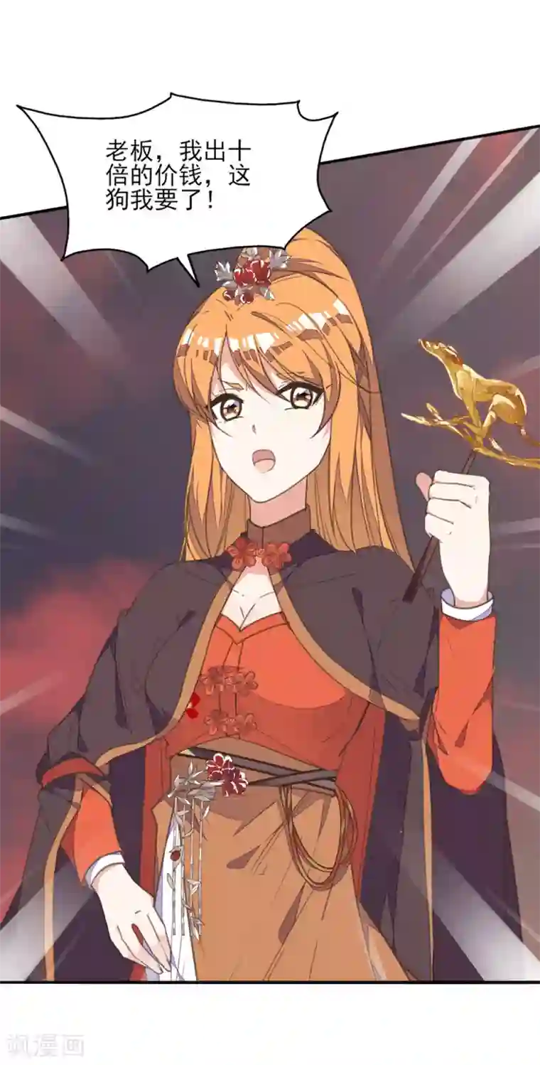 我的王妃有尾巴第39话 实力宠妻被妒忌