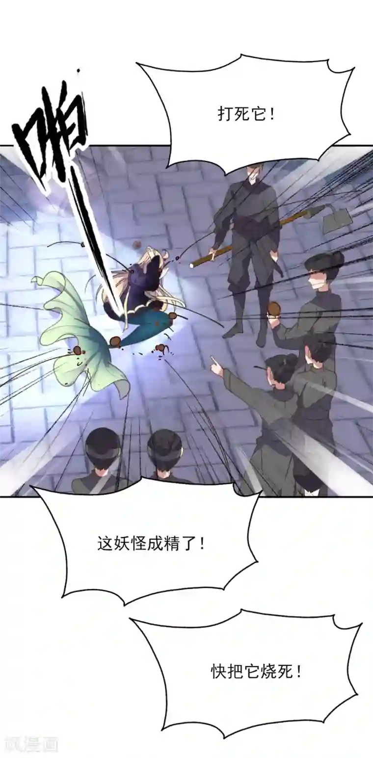 我的王妃有尾巴第二季第9话 阴谋得逞