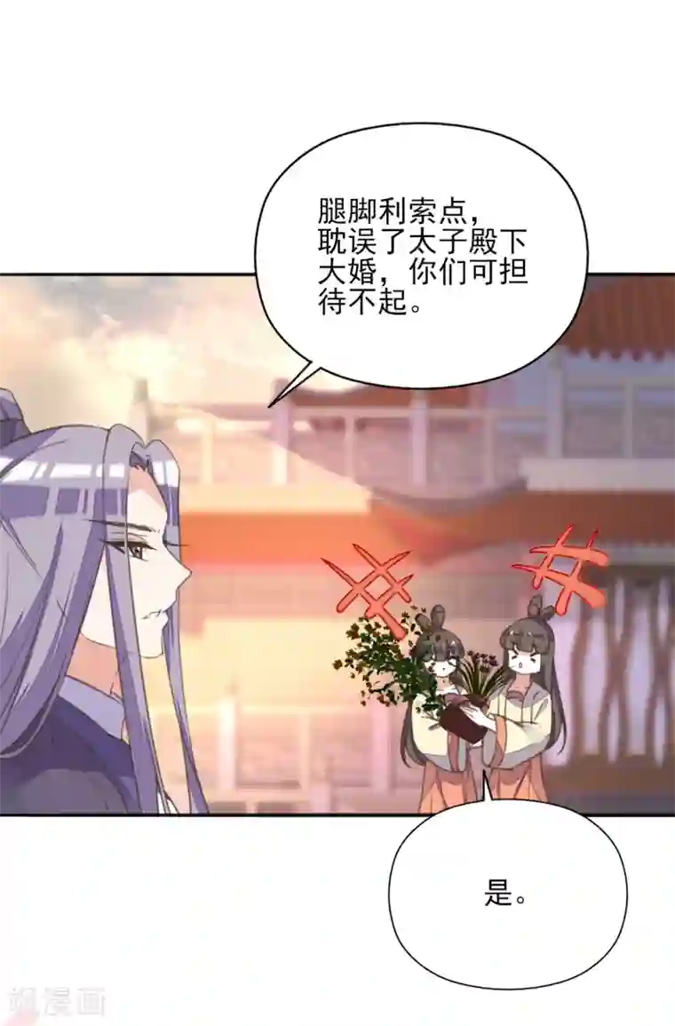 我的王妃有尾巴第二季第13话 前世之缘