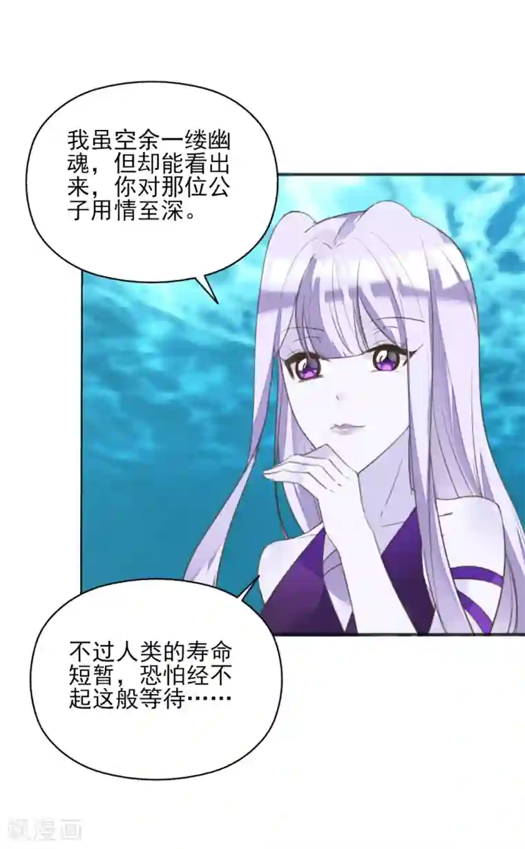 我的王妃有尾巴第二季第15话 举案齐眉