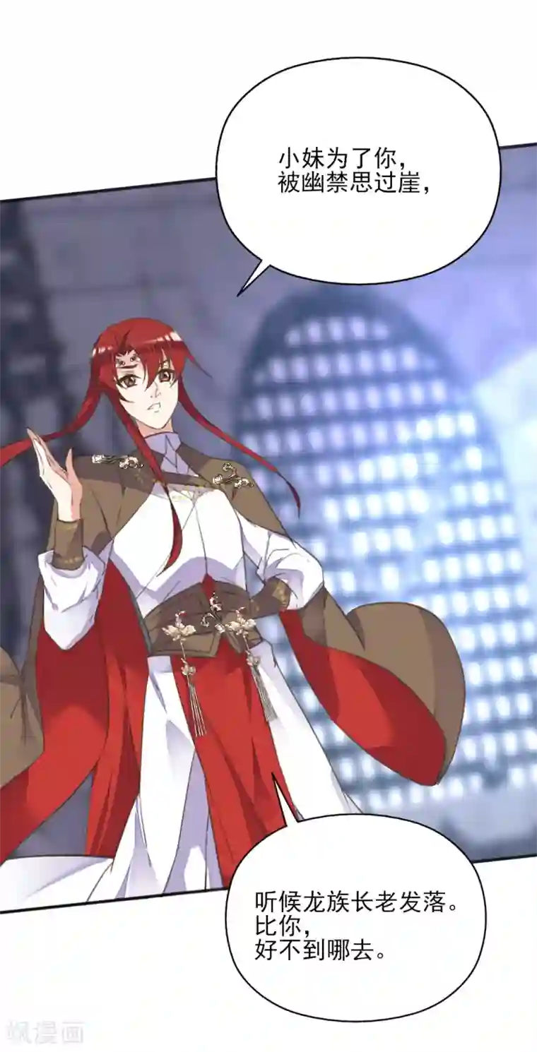 我的王妃有尾巴第二季第15话 举案齐眉