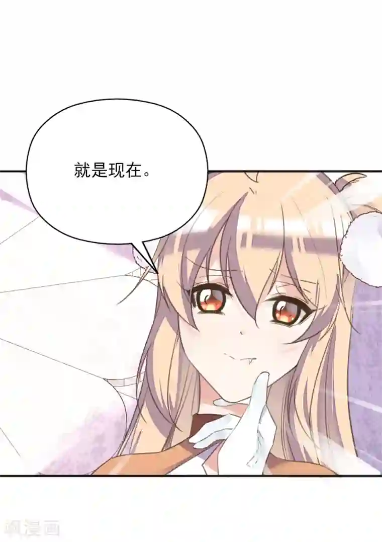 我的王妃有尾巴第二季第20话 武盟决斗