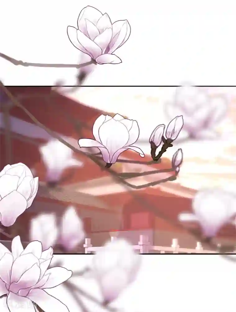 我的王妃有尾巴第二季第20话 武盟决斗