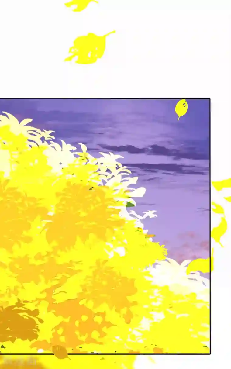 我的王妃有尾巴第二季第22话 场面失控