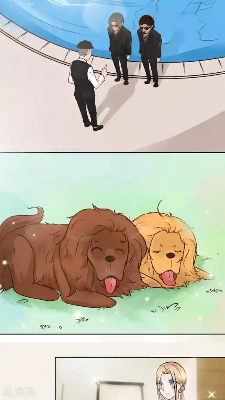 丫头，乖乖投降第14话 茉莉花香的秘密