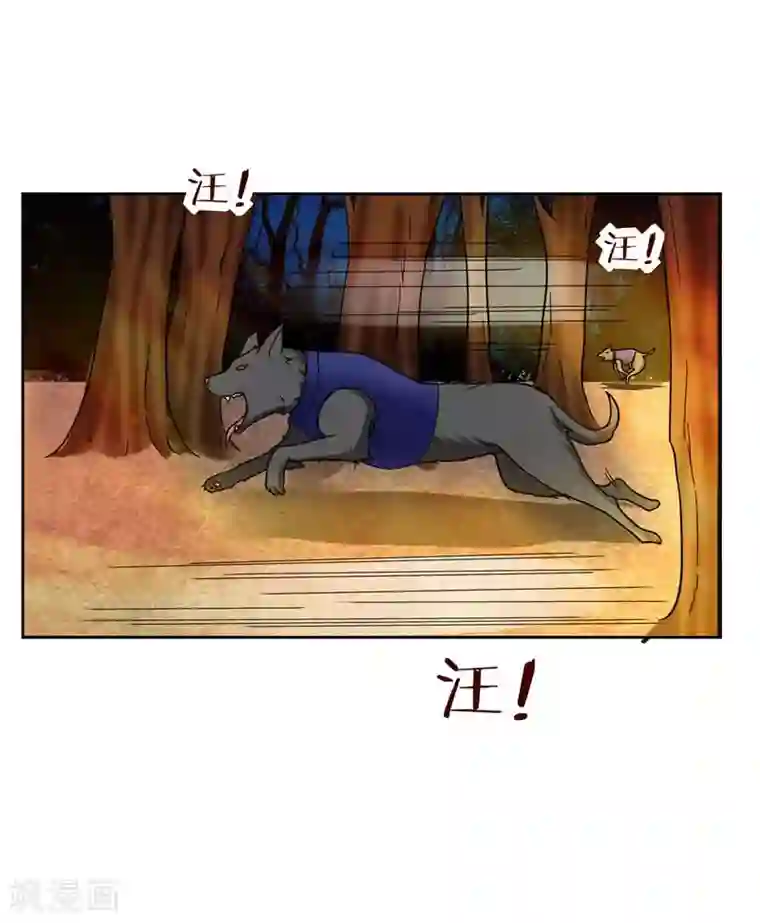 捡个校花做老婆第19话 酒吧遇袭