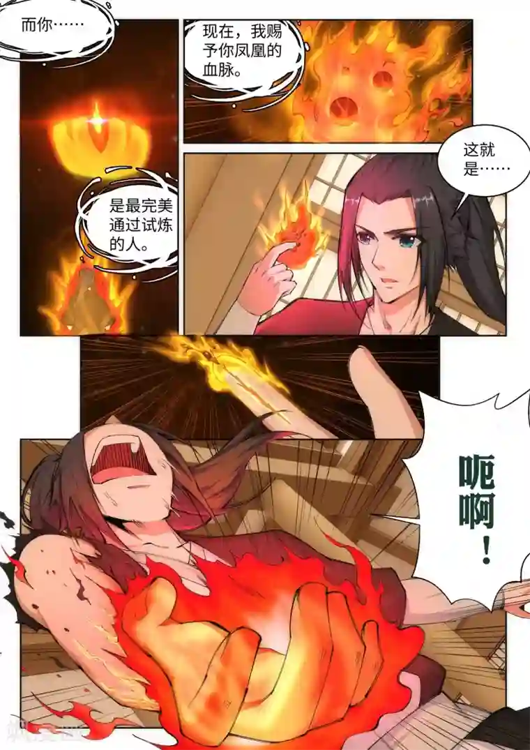 逆天邪神第99话 凤凰颂世典残卷6