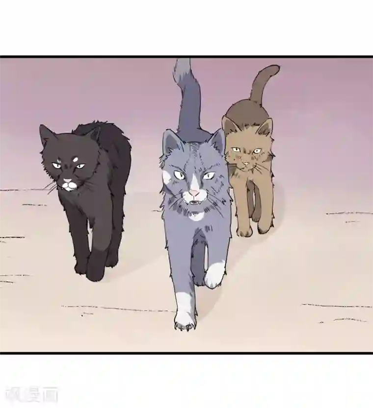 王道少年不可能谈恋爱第54话