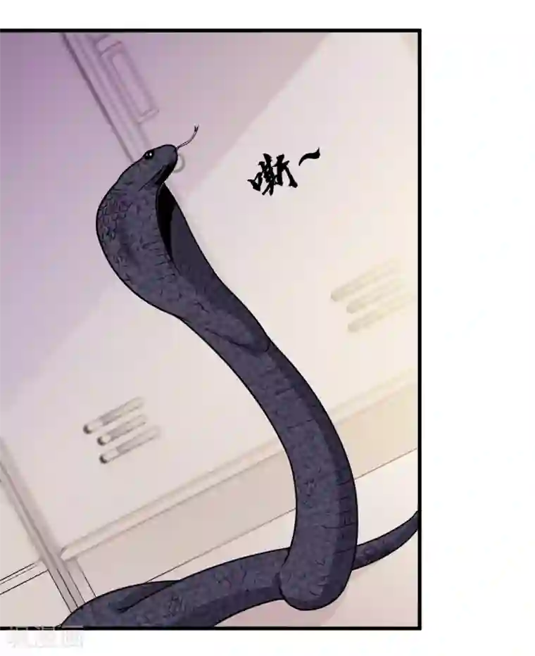 王道少年不可能谈恋爱第61话