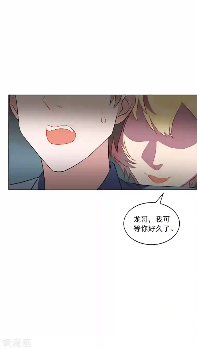 麻辣女老板第25话 江小龙，我怀了你的孩子